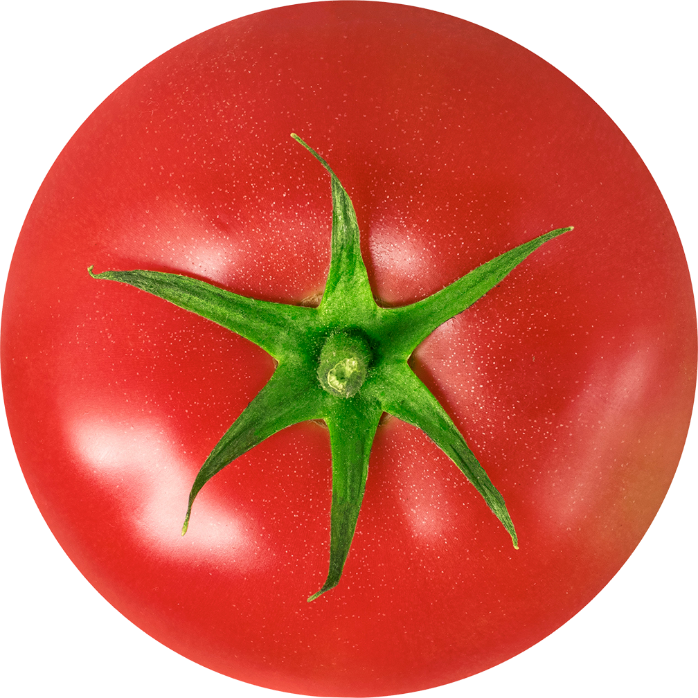 Tomaat-top.png